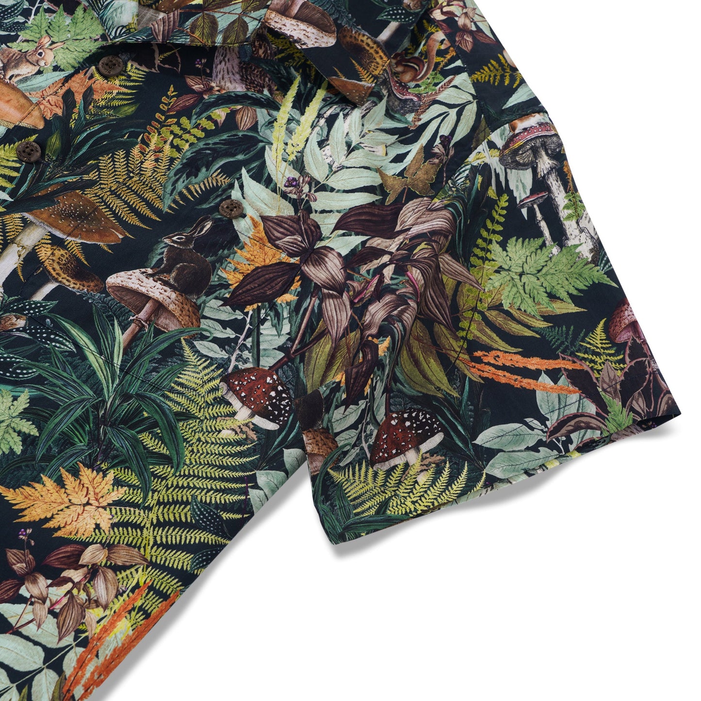 DWHS01091_4